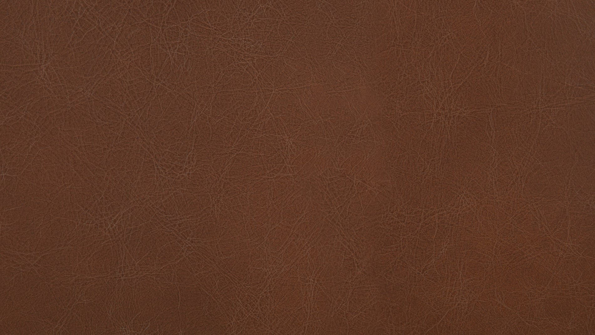 Swatch Dark Saddle_image