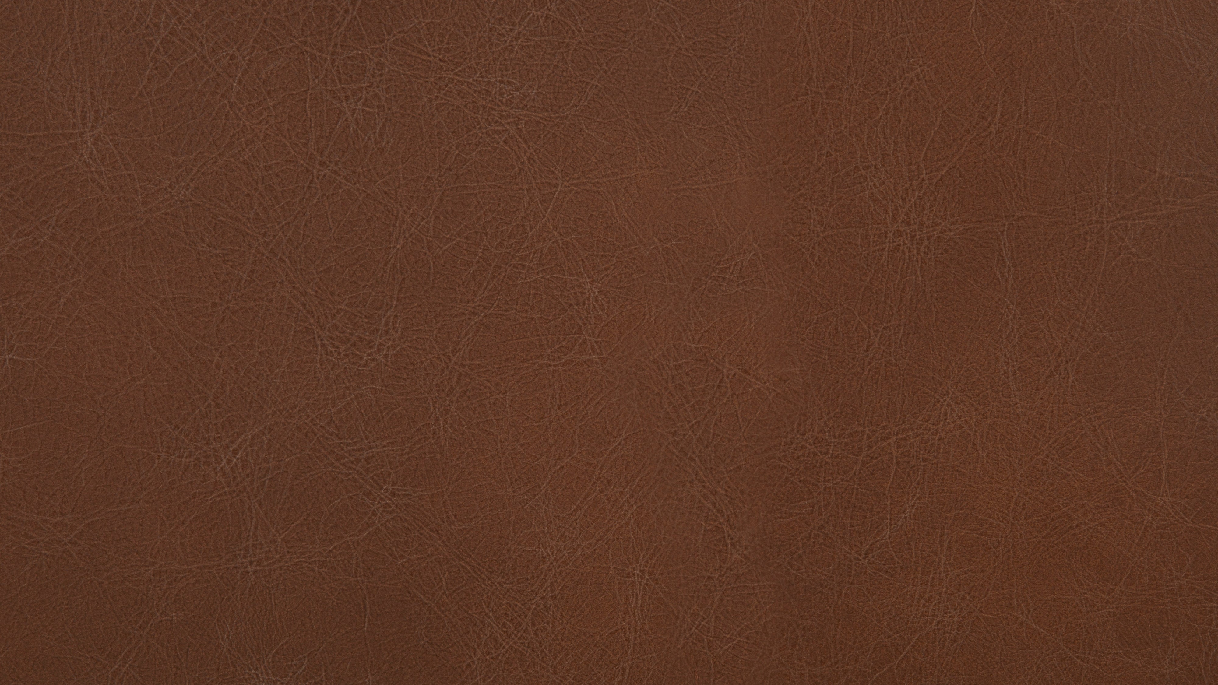 Swatch Dark Saddle